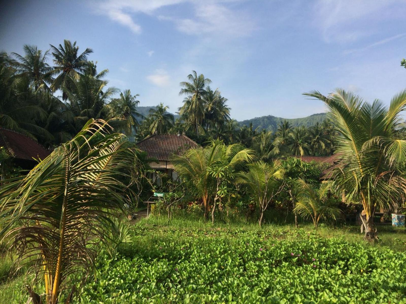 Bali Segara Lestari Oceanfront Villas Tejakula Exteriör bild