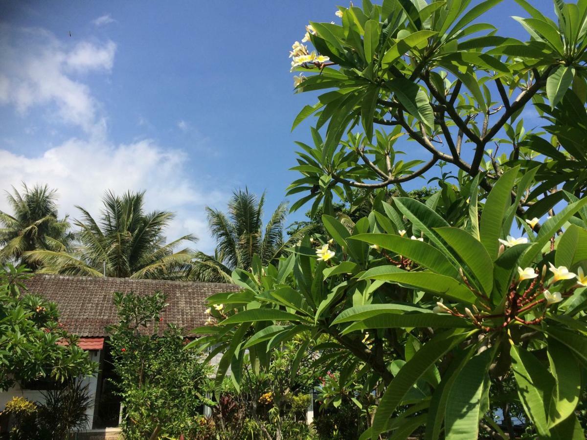 Bali Segara Lestari Oceanfront Villas Tejakula Exteriör bild