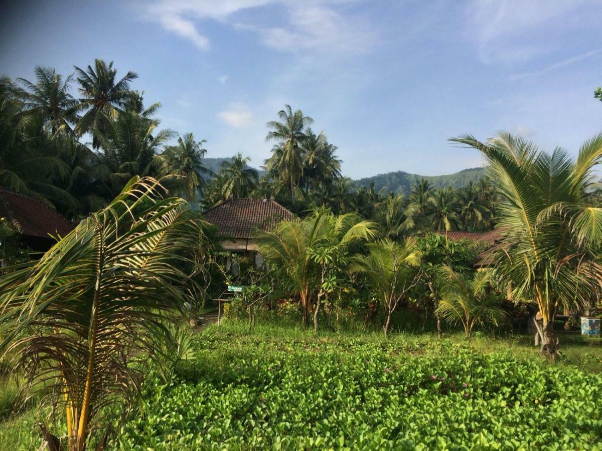 Bali Segara Lestari Oceanfront Villas Tejakula Exteriör bild